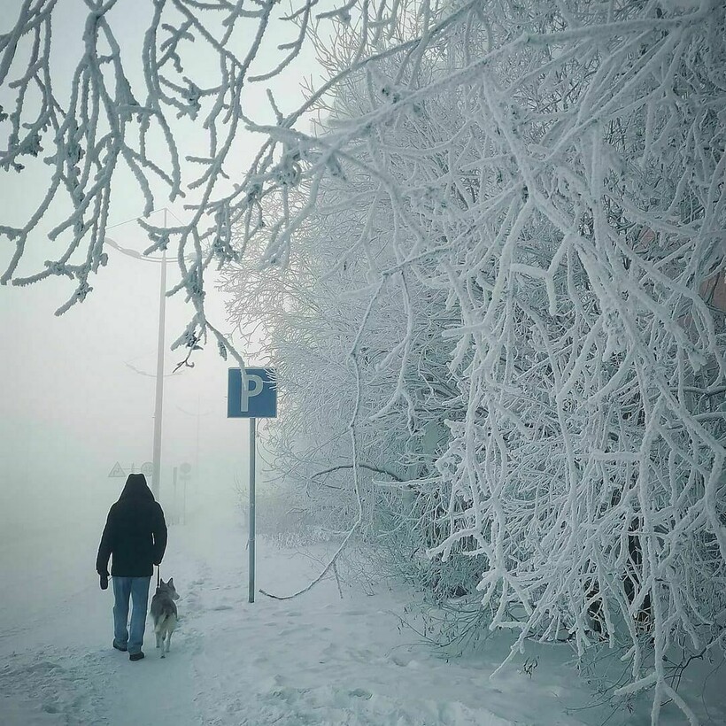 19 фото самых необычных погодных явлений в России