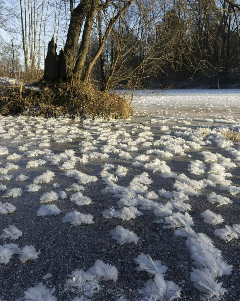 19 фото самых необычных погодных явлений в России