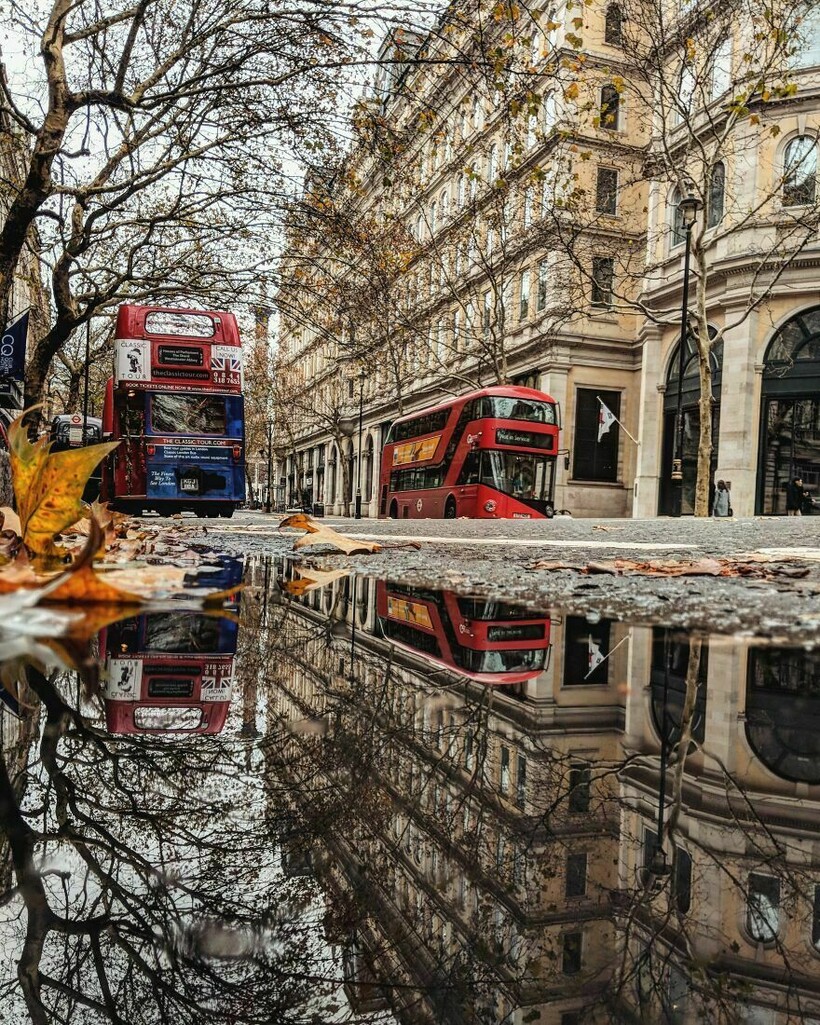 Другой мир: испанец снимает лужи и показывает, что даже в них есть прекрасное