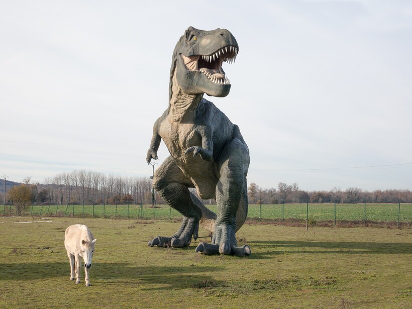 Что за пределами Парижа: французские фотографы показывают реальную Францию