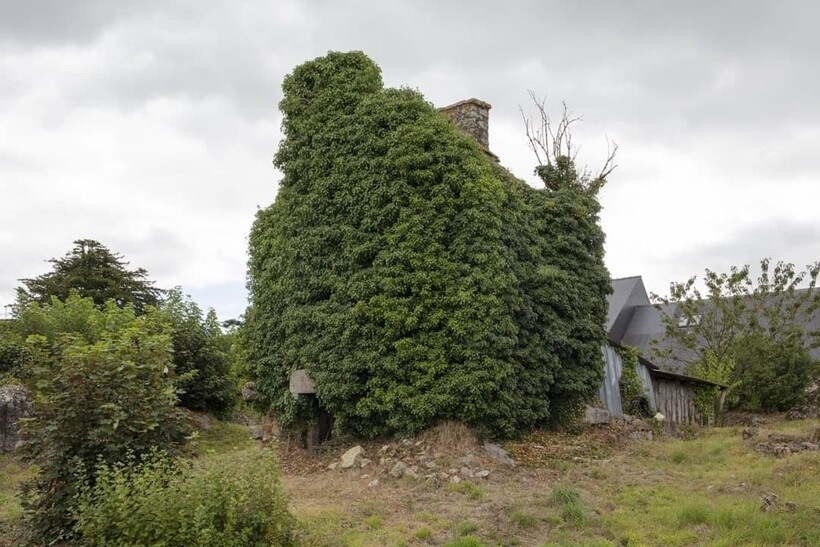 Что за пределами Парижа: французские фотографы показывают реальную Францию