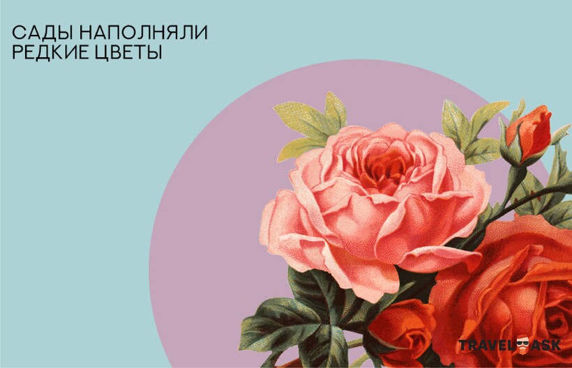 Блог - Инфографика: Загадка садов Семирамиды Инфографика: Загадка садов Семирамиды