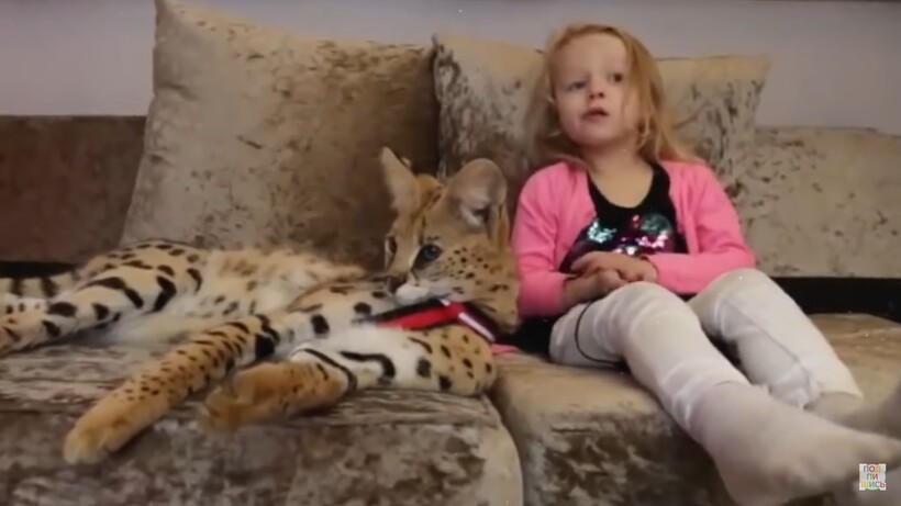 Блог - Видео: Удивительные питомцы, которые принадлежат детям Видео: Удивительные питомцы, которые принадлежат детям