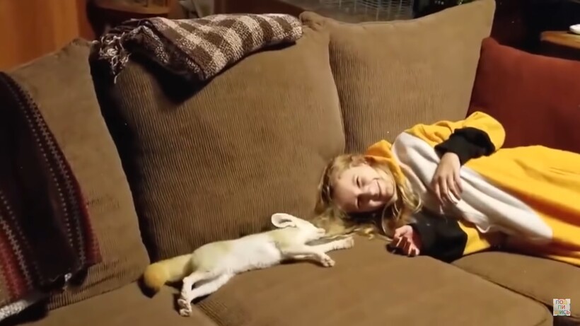 Блог - Видео: Удивительные питомцы, которые принадлежат детям Видео: Удивительные питомцы, которые принадлежат детям