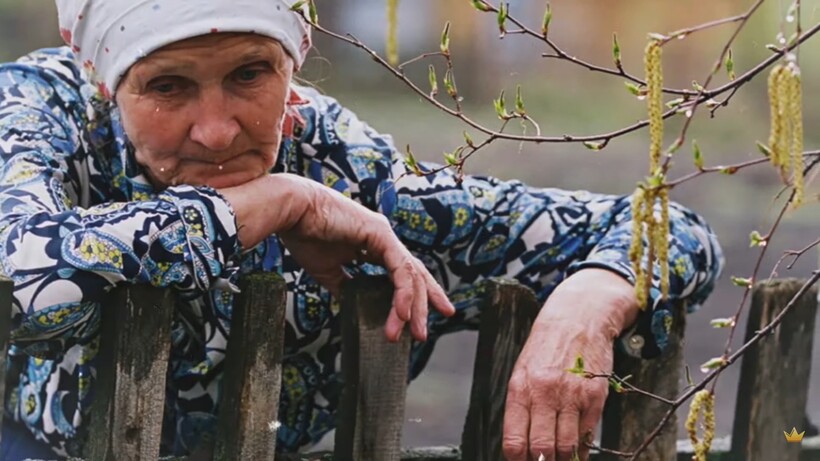Блог - Бабушка спасла дикую птицу, а та увела у нее всех гусей, но потом все же отблагодарила Бабушка спасла дикую птицу, а та увела у нее всех гусей, но потом все же отблагодарила