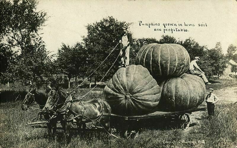Блог - 13 фото, на которых происходит что-то странное: как подделывали снимки сто лет назад 13 фото, на которых происходит что-то странное: как подделывали снимки сто лет назад