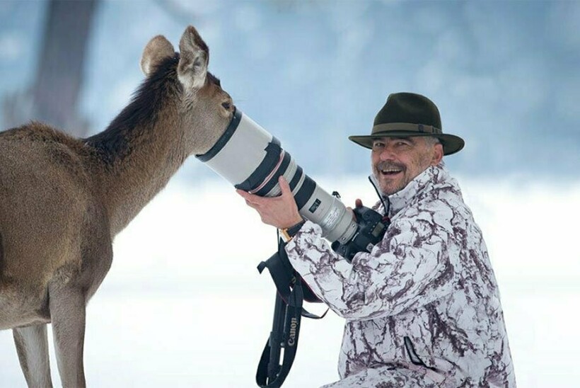 Блог - Кадр на миллион: 19 фото о том, как фотографам дикой природы иногда мешают животные Кадр на миллион: 19 фото о том, как фотографам дикой природы иногда мешают животные