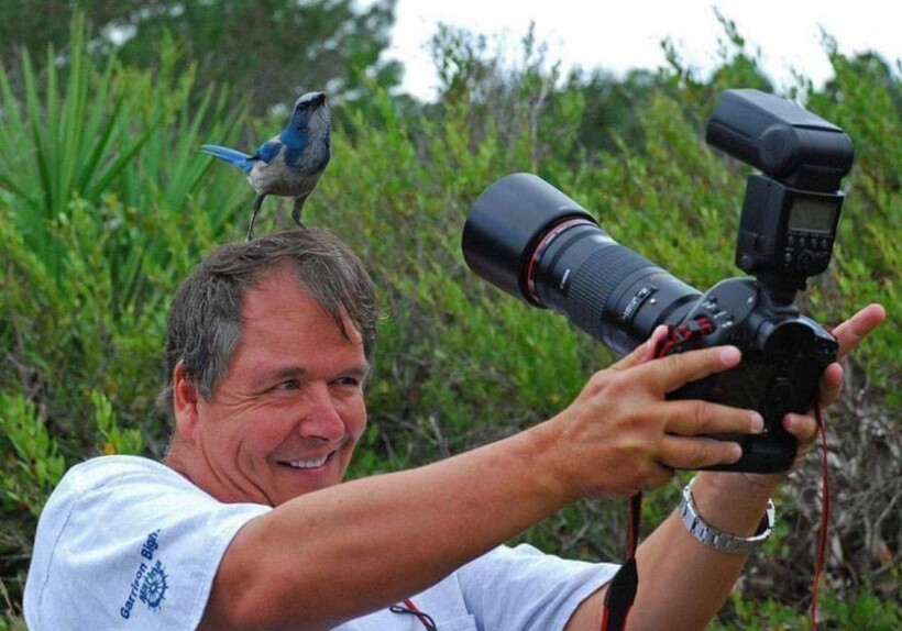 Блог - Кадр на миллион: 19 фото о том, как фотографам дикой природы иногда мешают животные Кадр на миллион: 19 фото о том, как фотографам дикой природы иногда мешают животные
