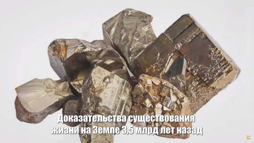 Блог - Видео: Находка, доказывающая существование жизни 3,5 миллиарда лет назад, и другие Видео: Находка, доказывающая существование жизни 3,5 миллиарда лет назад, и другие