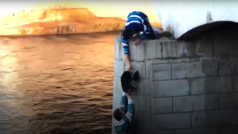 Блог - Видео: Мужчина спрыгнул с моста и спас собаку Видео: Мужчина спрыгнул с моста и спас собаку