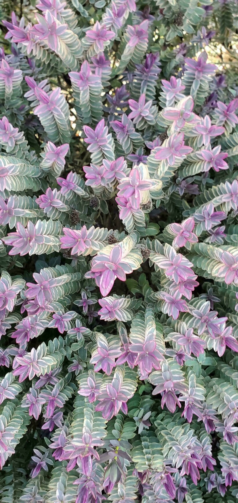 Блог - 15 случаев, когда в мироздании произошел сбой, но люди успели все снять на камеру 15 случаев, когда в мироздании произошел сбой, но люди успели все снять на камеру