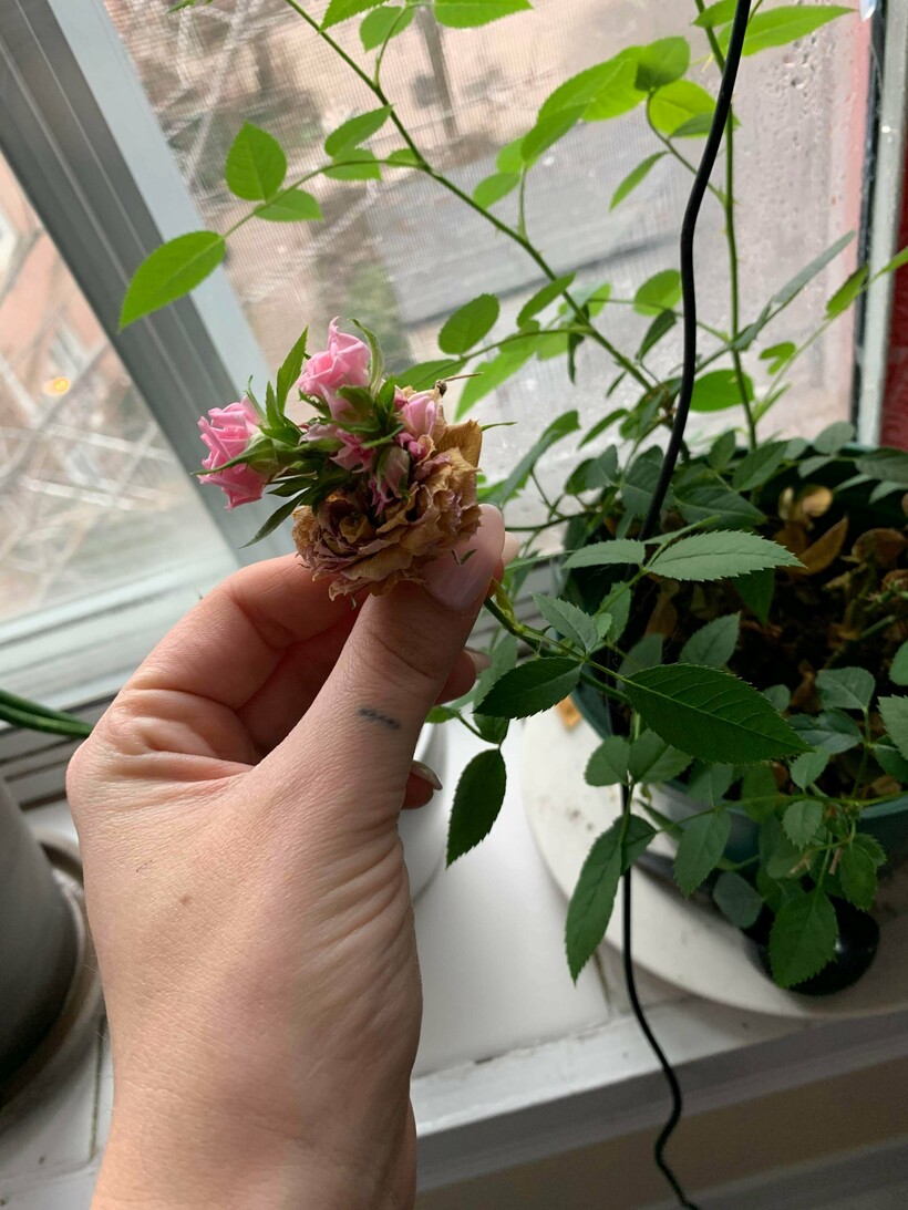 Блог - 15 случаев, когда в мироздании произошел сбой, но люди успели все снять на камеру 15 случаев, когда в мироздании произошел сбой, но люди успели все снять на камеру