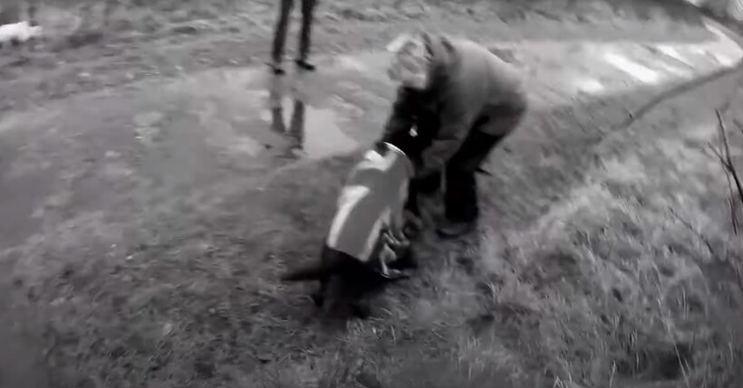 Блог - Видео: Женщина спасла собаку из ледяной реки Видео: Женщина спасла собаку из ледяной реки