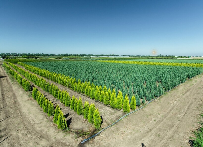 Нижнегорский район Крыма