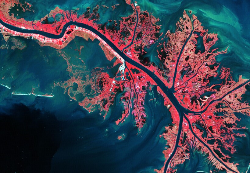 Устье Миссисипи