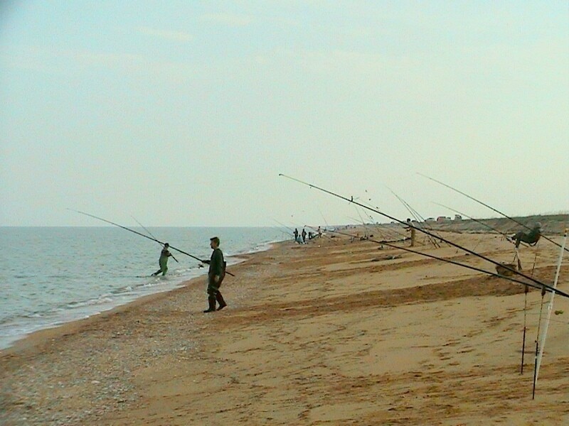 Ловля пеленгаса