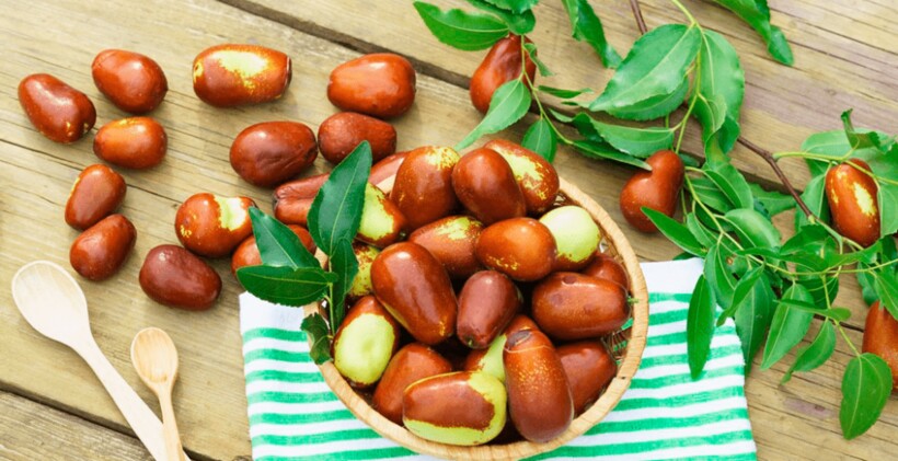 Зизифус настоящий