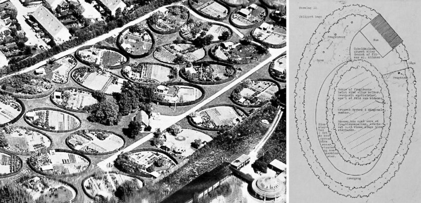 Еще совсем молодой район в 1952 году