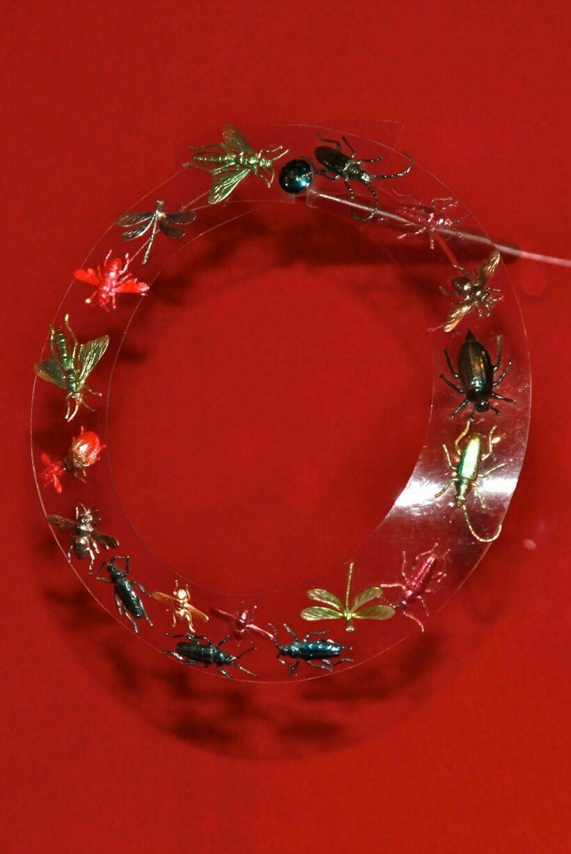 Ожерелье с жуками Ожерелье с жуками