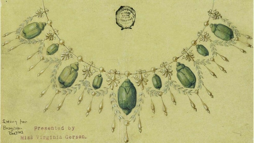 Дизайн ожерелья с настоящими африканскими жуками  Дизайн ожерелья с настоящими африканскими жуками