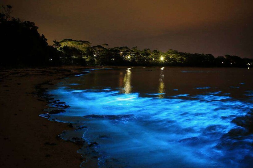 Блог - 10 потрясающих фото заливов, которые ночью выглядят как порталы в иные миры 10 потрясающих фото заливов, которые ночью выглядят как порталы в иные миры