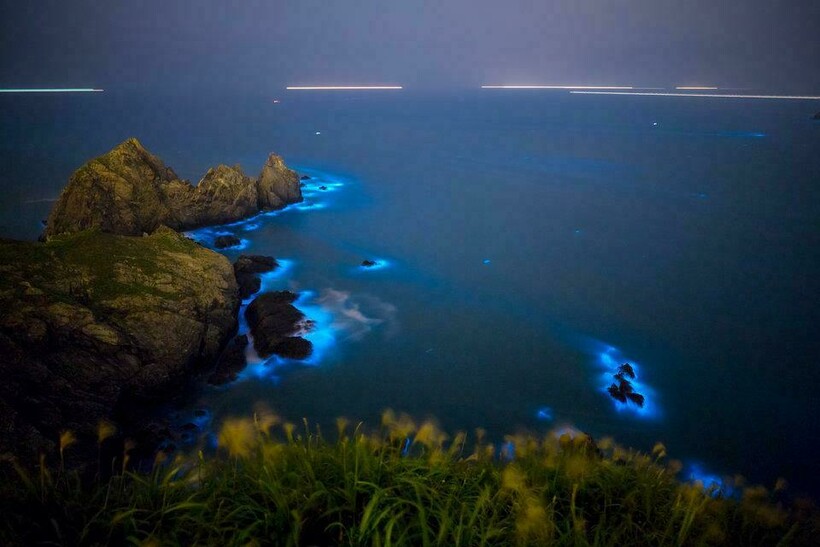 Блог - 10 потрясающих фото заливов, которые ночью выглядят как порталы в иные миры 10 потрясающих фото заливов, которые ночью выглядят как порталы в иные миры