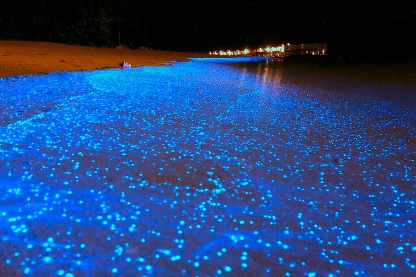 Блог - 10 потрясающих фото заливов, которые ночью выглядят как порталы в иные миры 10 потрясающих фото заливов, которые ночью выглядят как порталы в иные миры