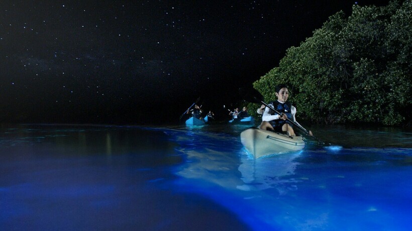 Блог - 10 потрясающих фото заливов, которые ночью выглядят как порталы в иные миры 10 потрясающих фото заливов, которые ночью выглядят как порталы в иные миры