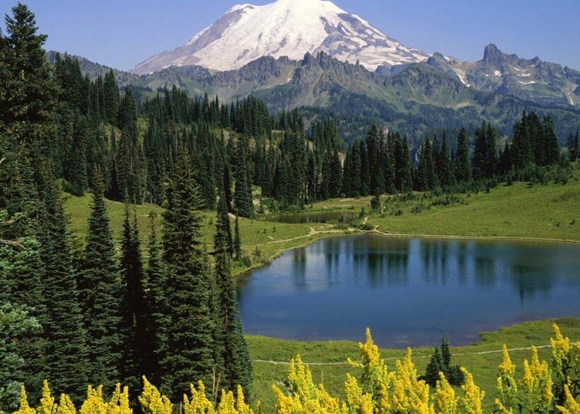 Новые резерваты