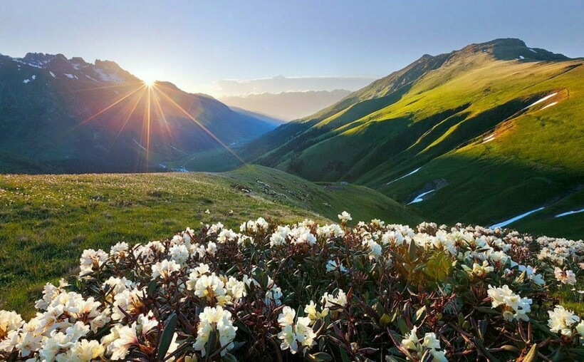 Заповедники Кавказа