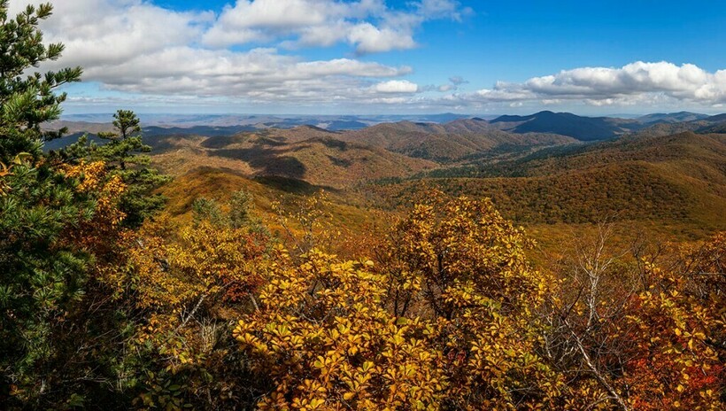 Заповедники Дальнего Востока