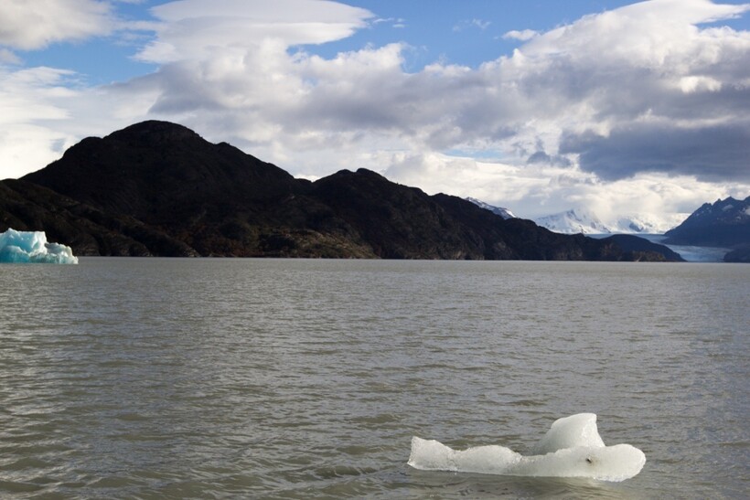 Заповедники Чили