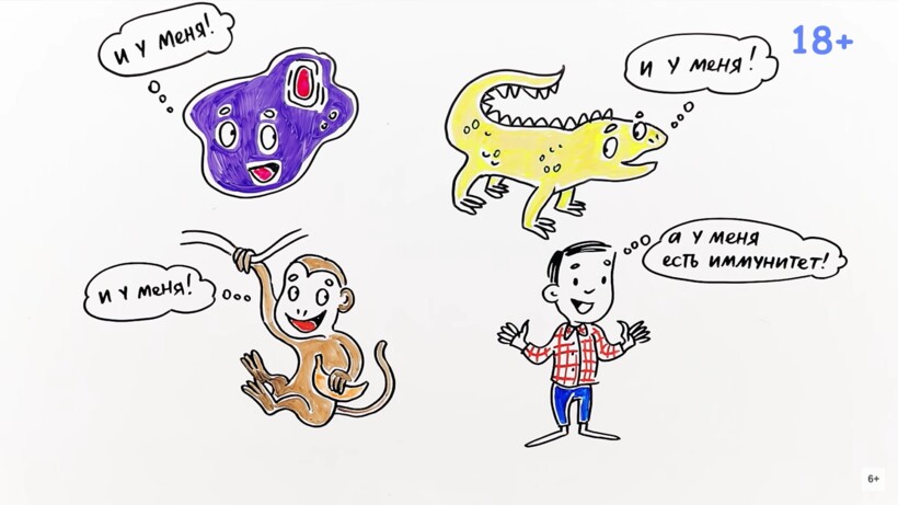 Блог - Видео: Возможно ли никогда не болеть Видео: Возможно ли никогда не болеть