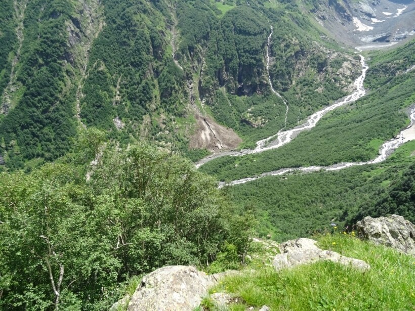 Горная растительность Домбая