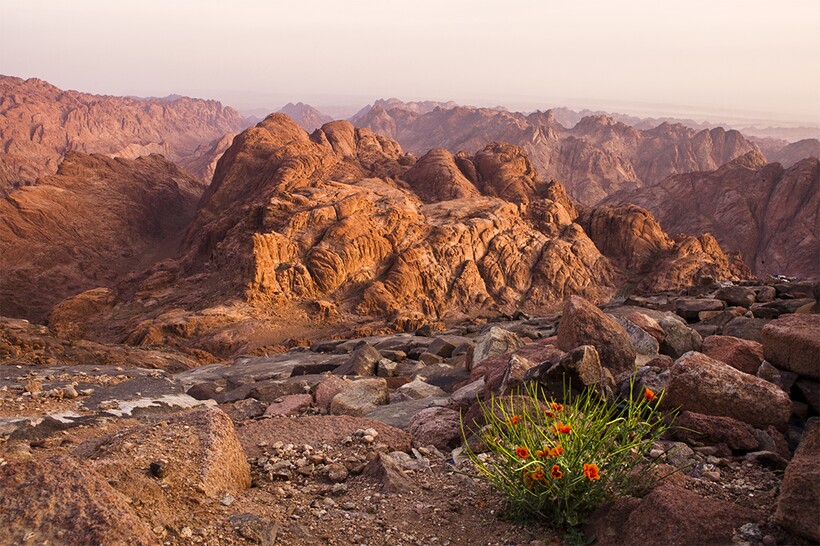 Скалы Синая