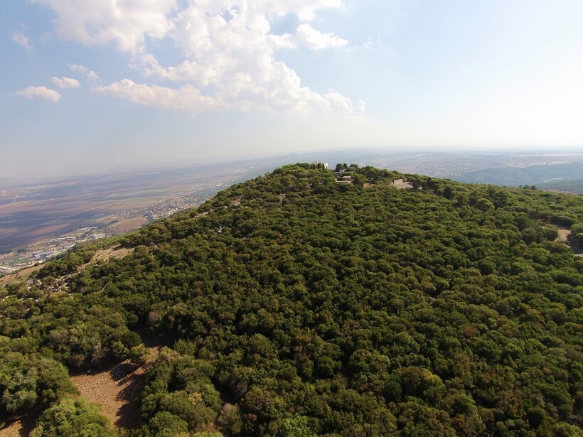 Поросшие лесом склоны горы Кармель