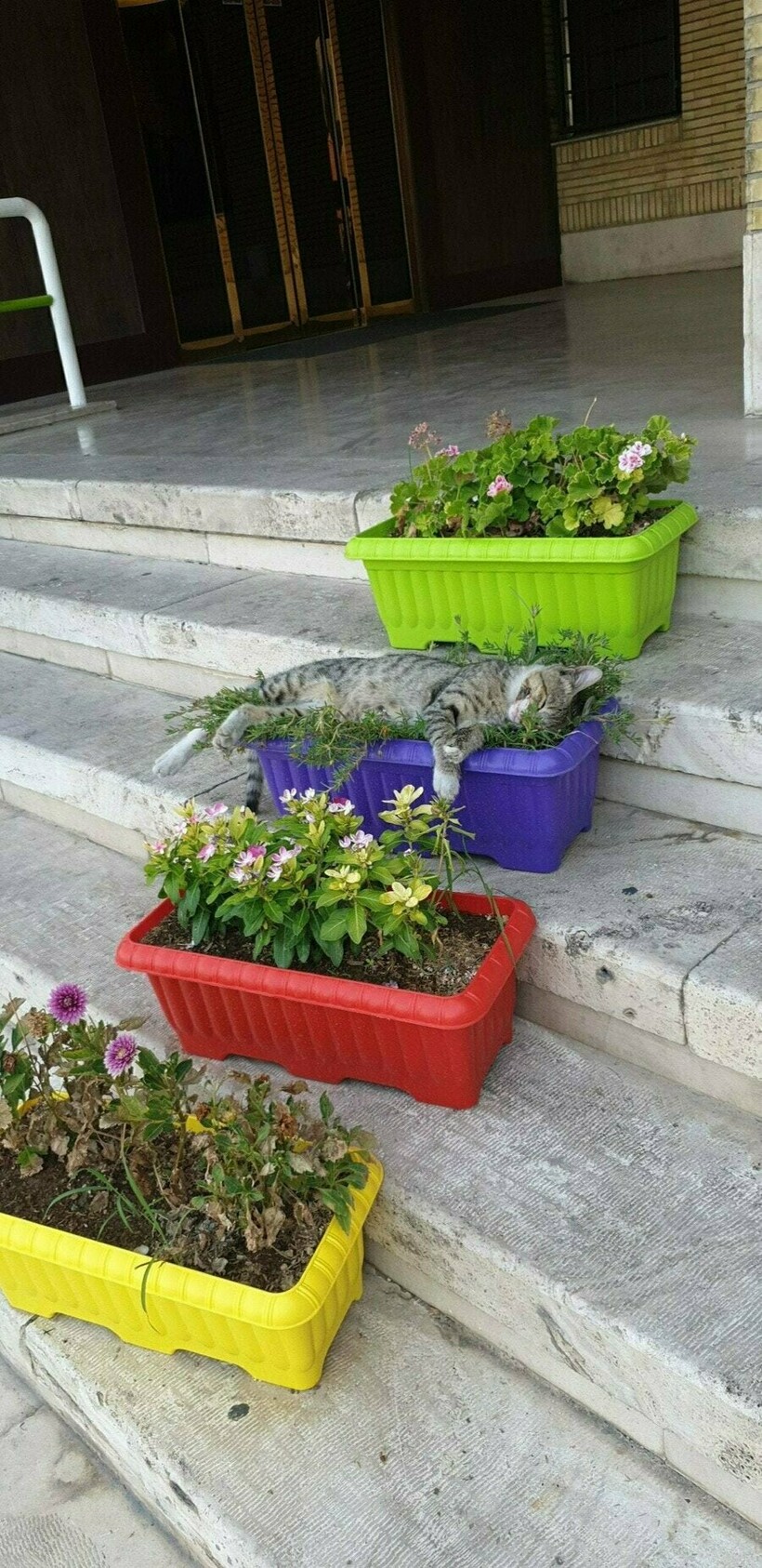 Блог - 16 забавных примеров кошачьих кроватей, которые заставляют поражаться логике котов 16 забавных примеров кошачьих кроватей, которые заставляют поражаться логике котов