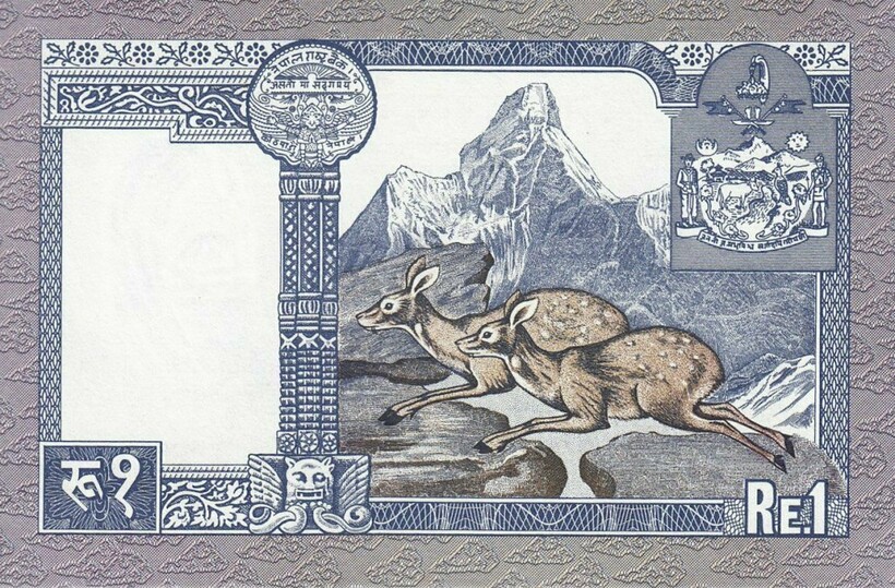 Популярность вершины