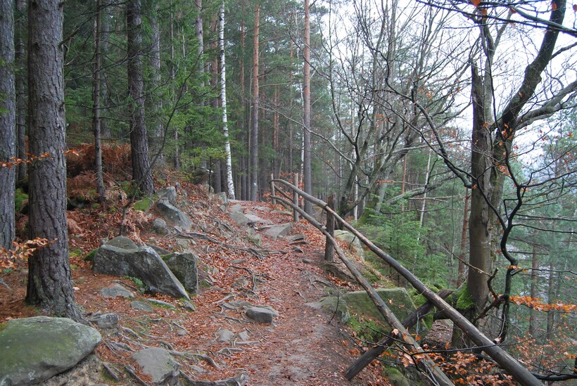 Тропа Довбуша