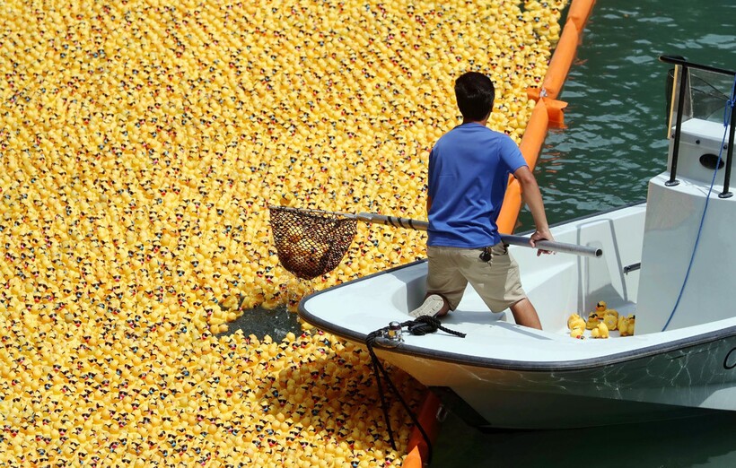 Люди так и не смогли до конца устранить все последствия инцидента Люди так и не смогли до конца устранить все последствия инцидента