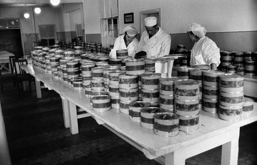 13 снимков фотографа из США, который приехал в СССР, чтобы снять добычу черной икры