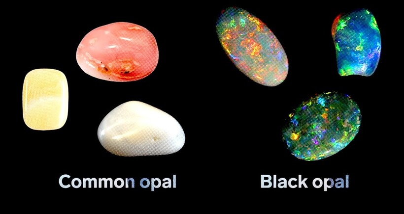 Блог - Видео: Почему австралийские черные опалы так дорого стоят Видео: Почему австралийские черные опалы так дорого стоят