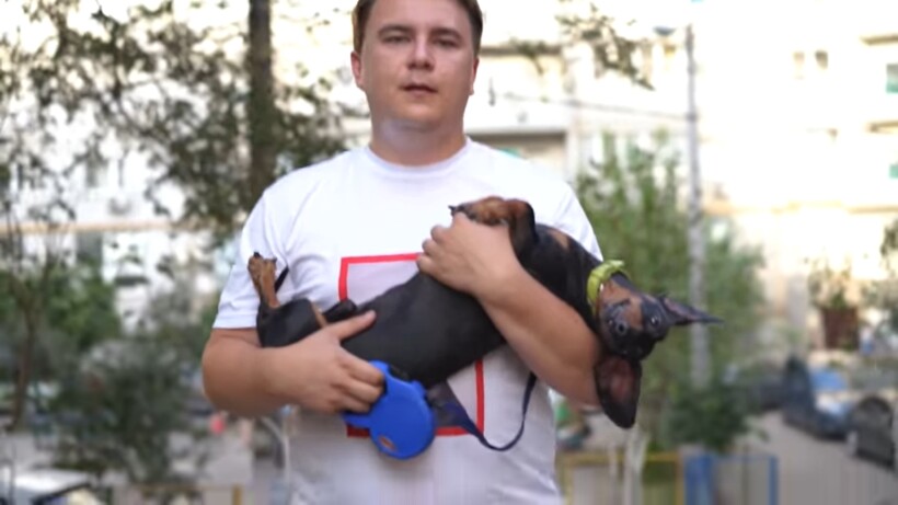 Блог - Видео: Почему нельзя верить таксам Видео: Почему нельзя верить таксам