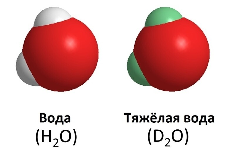 Тяжелая вода опасна для здоровья живых существ Тяжелая вода опасна для здоровья живых существ