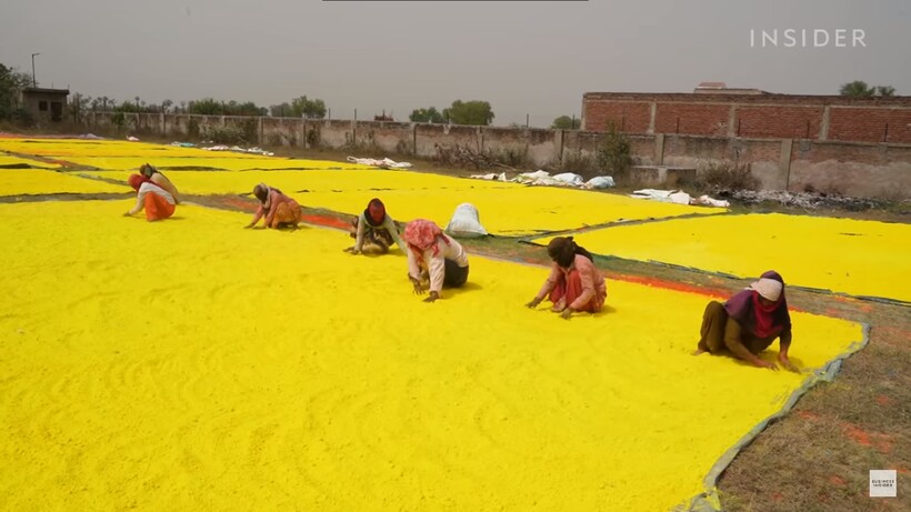 Блог - Зачем в Индии производят 2000 тонн цветных порошков целый год, а высыпают их за день Зачем в Индии производят 2000 тонн цветных порошков целый год, а высыпают их за день