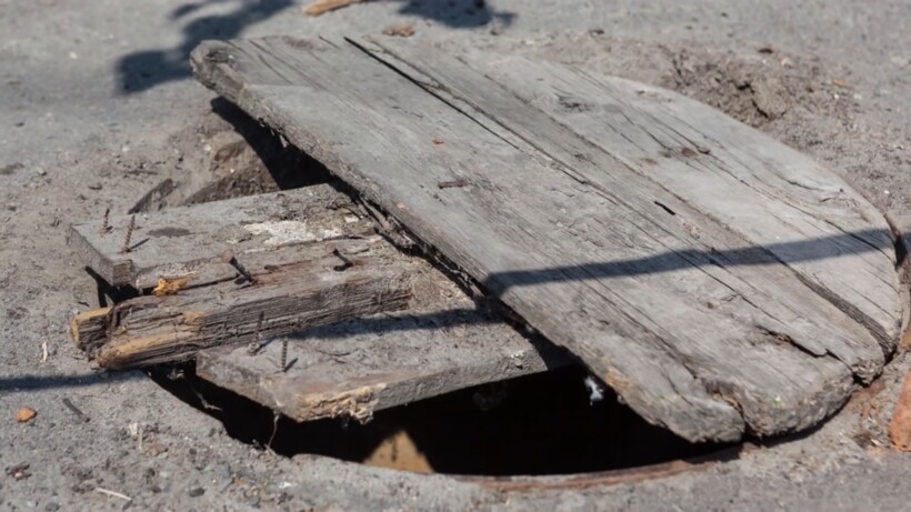 Блог - Видео: Мужчина вылечил рысь, а спустя один год она спасла ему жизнь Видео: Мужчина вылечил рысь, а спустя один год она спасла ему жизнь