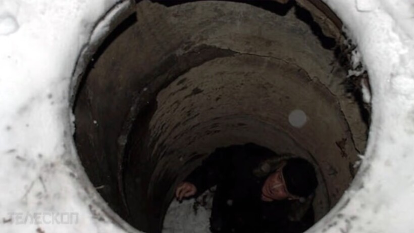 Блог - Видео: Мужчина вылечил рысь, а спустя один год она спасла ему жизнь Видео: Мужчина вылечил рысь, а спустя один год она спасла ему жизнь