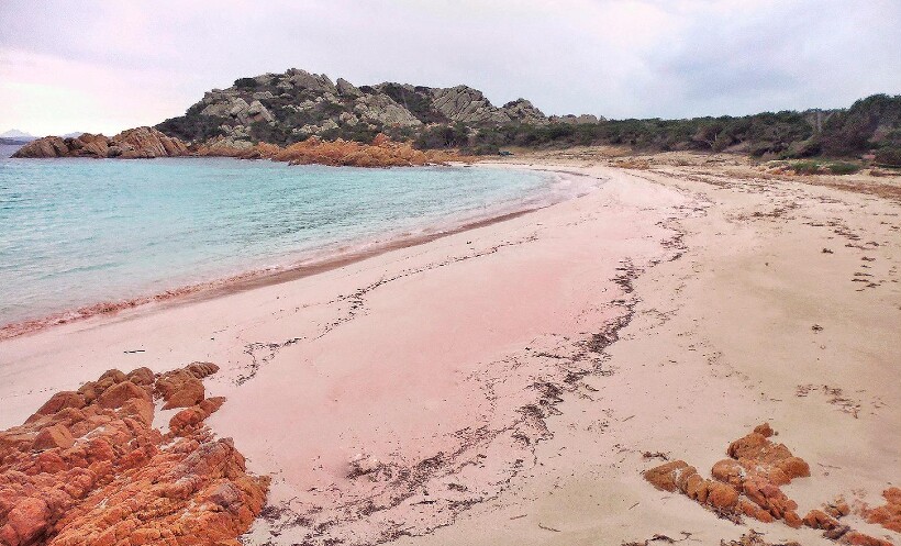 Розовый песок ― одна из главных особенностей острова Розовый песок ― одна из главных особенностей острова