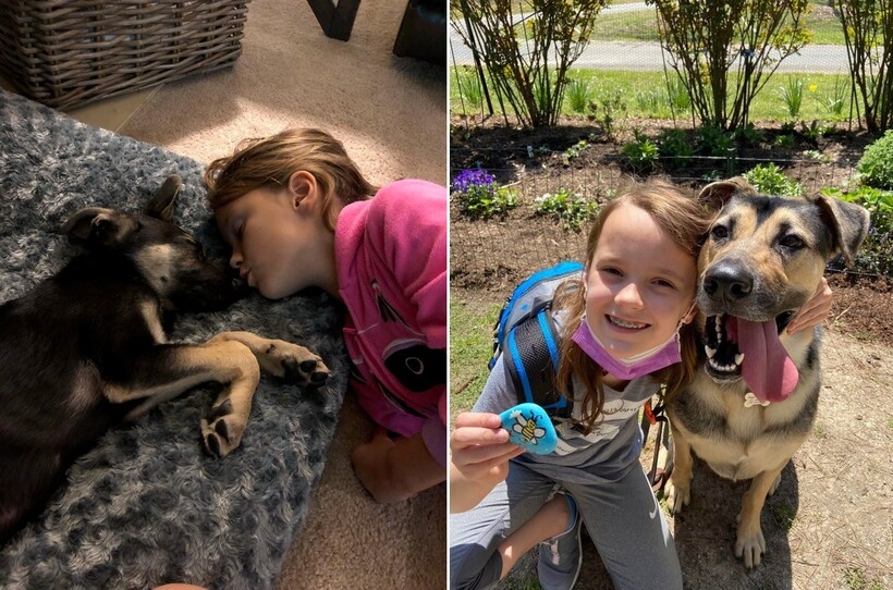 До и после: 17 трогательных фото усыновленных животных, которые обрели дом