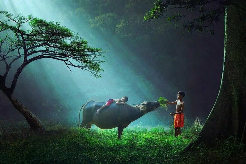 Блог - 15 фотографий о том, как выглядит детство в разных странах мира 15 фотографий о том, как выглядит детство в разных странах мира